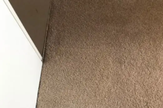 Carpet Cleaning in Ivanhoe